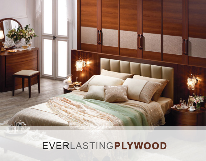 ply woods